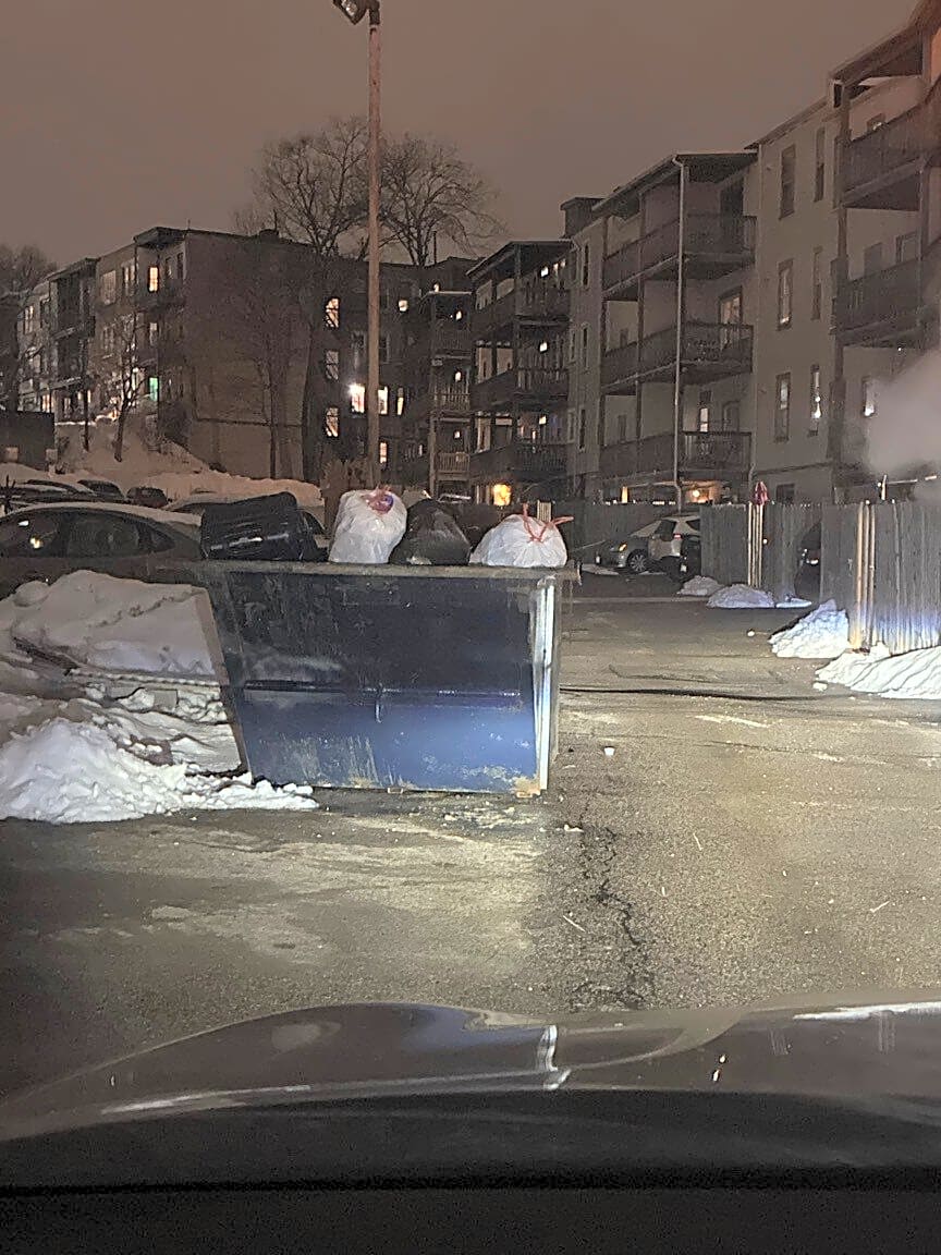 Image submitted with report