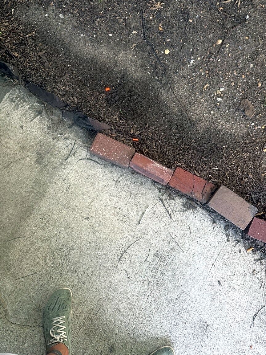 Image submitted with report