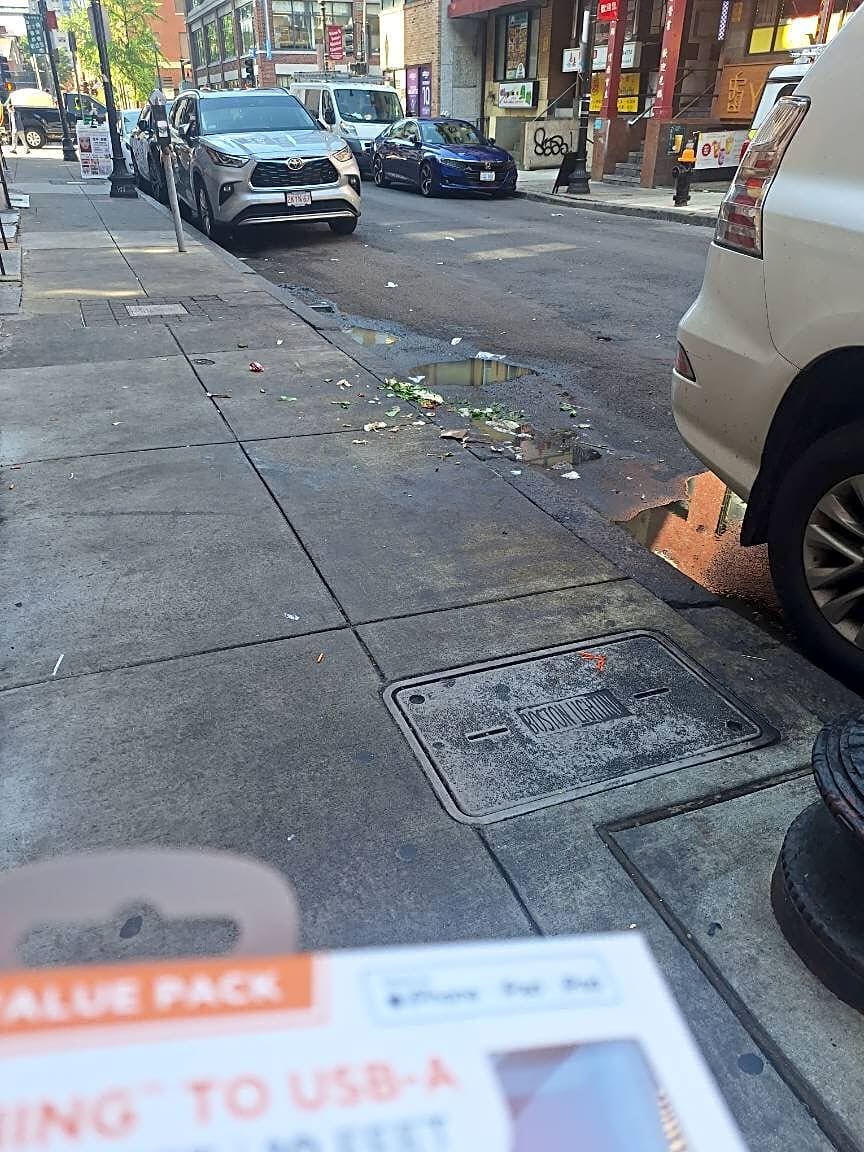 Image submitted with report