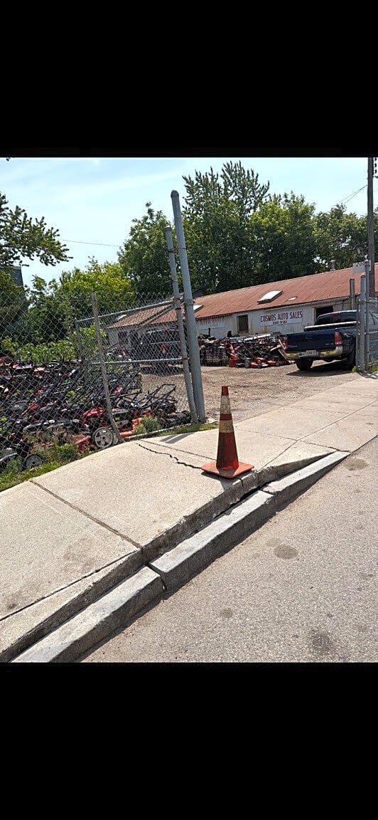 Image submitted with report