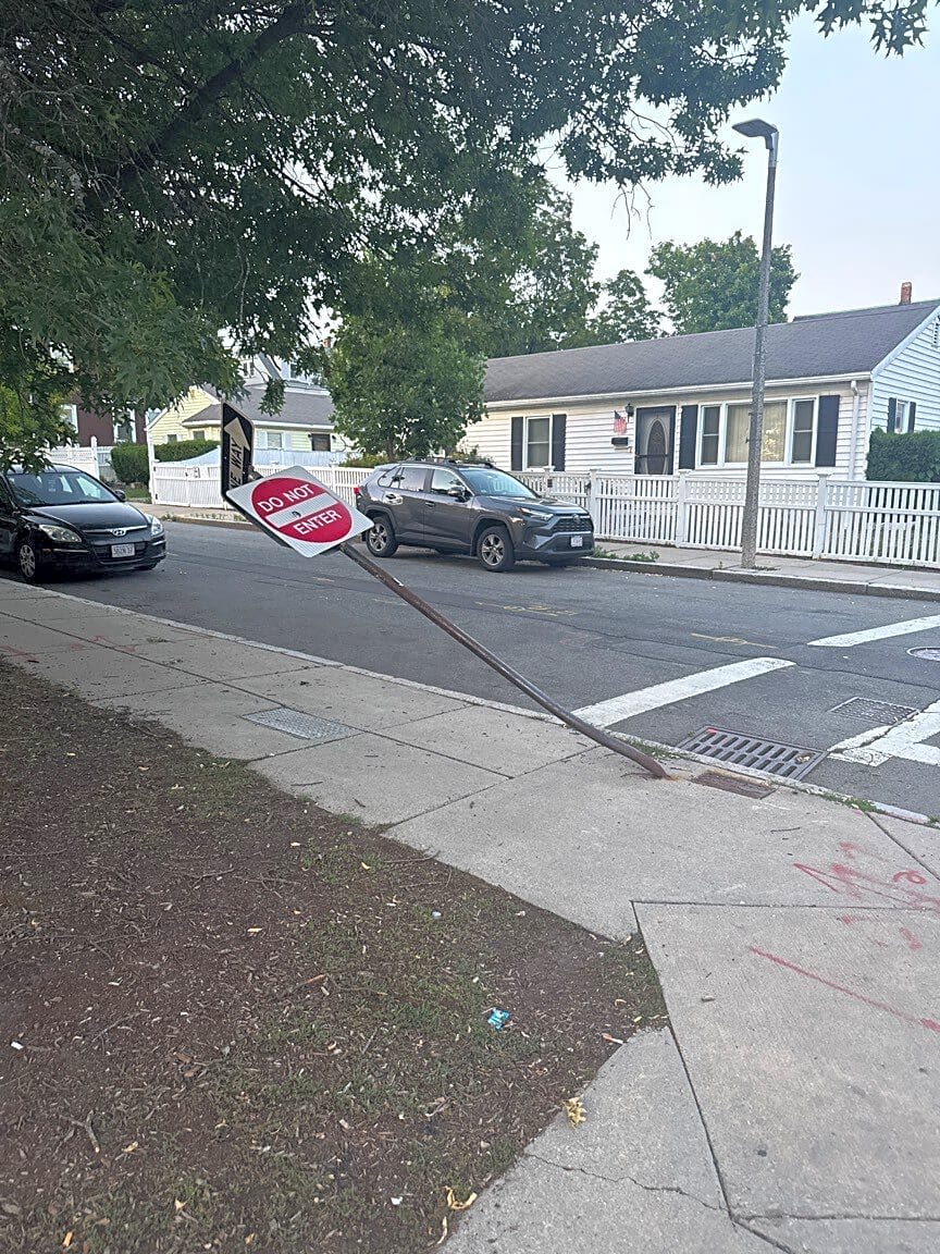 Image submitted with report
