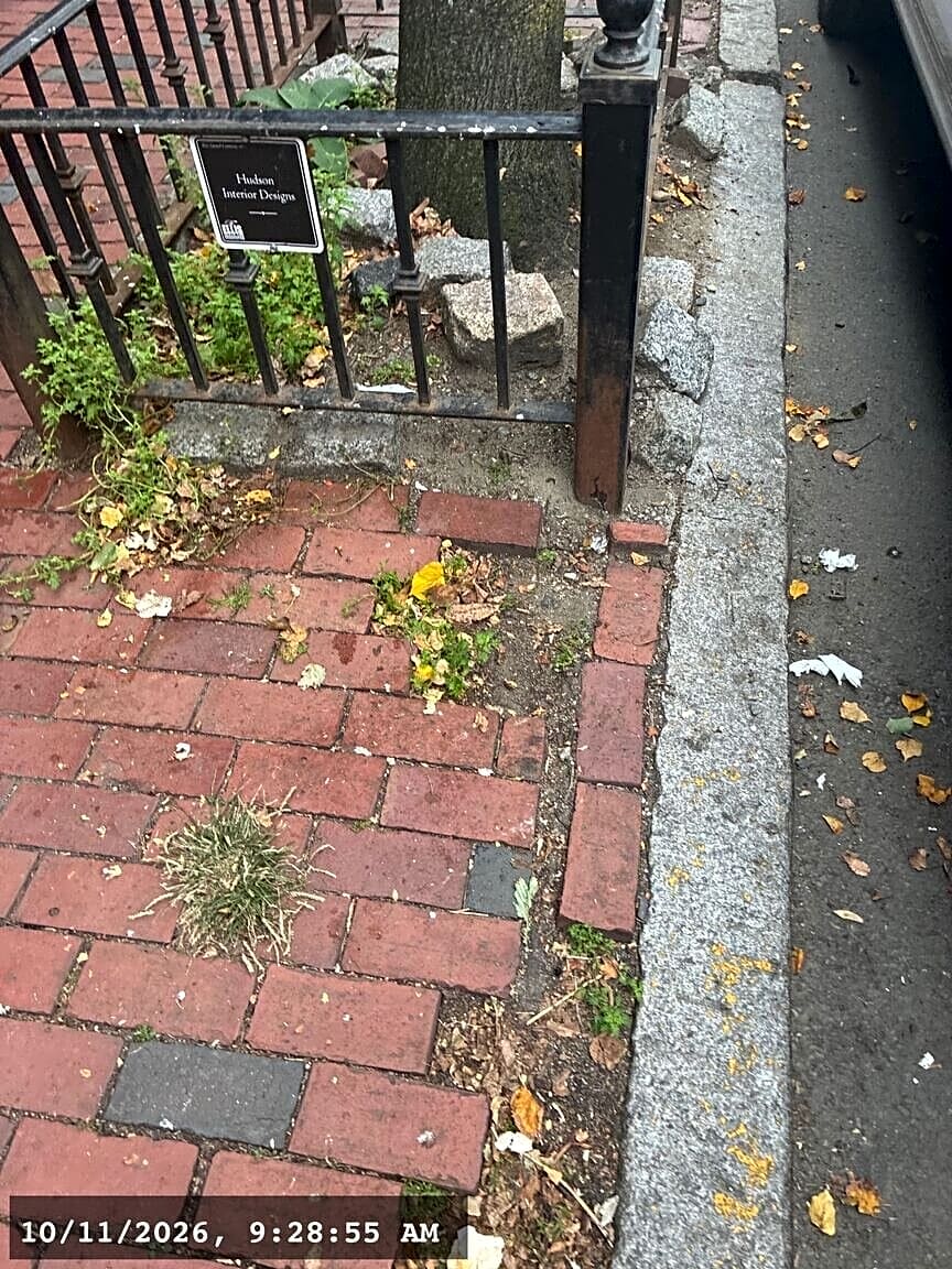 Image submitted with report