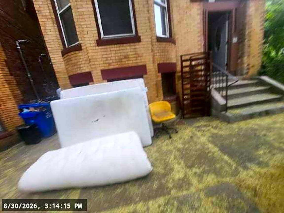 Image submitted with report