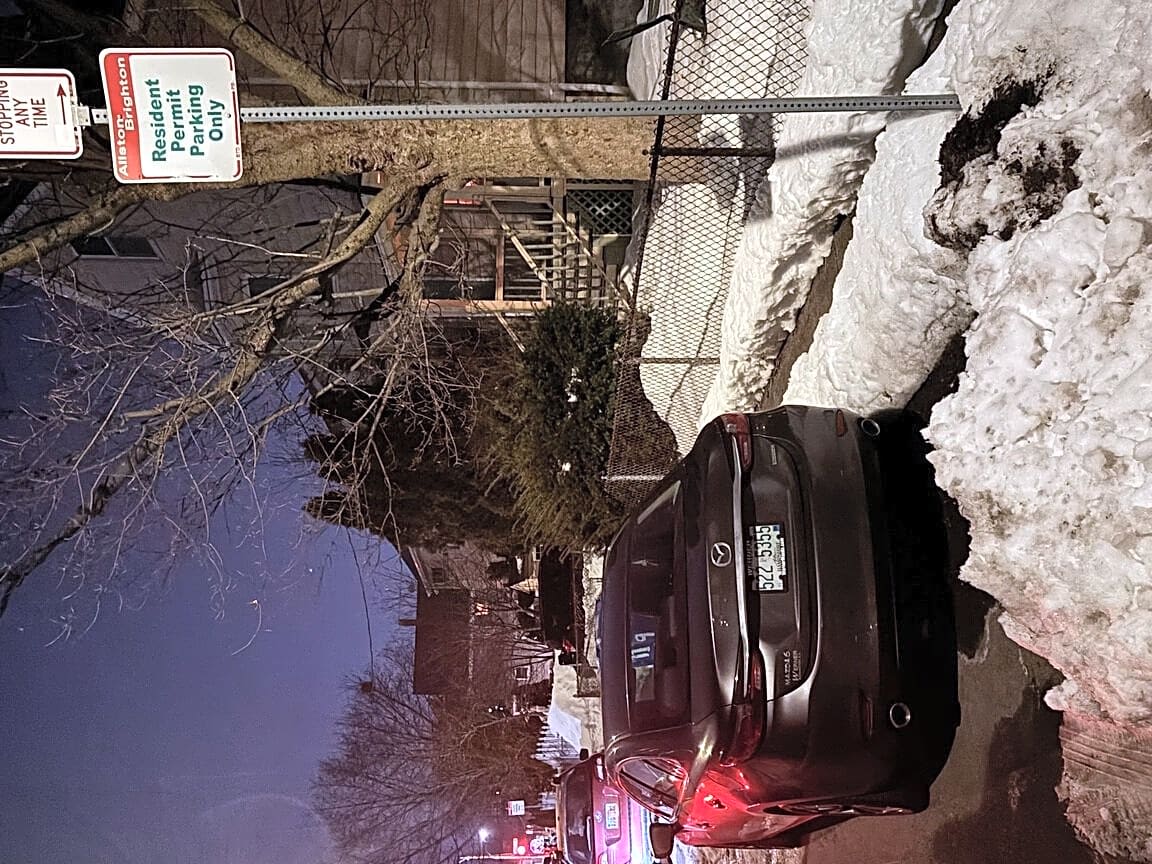 Image submitted with report