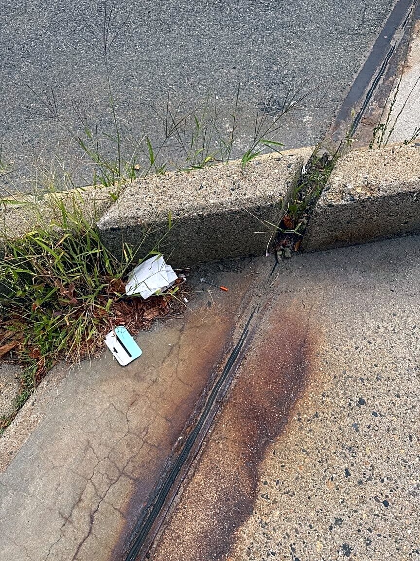 Image submitted with report