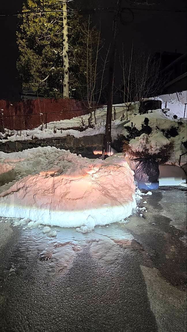 Image submitted with report