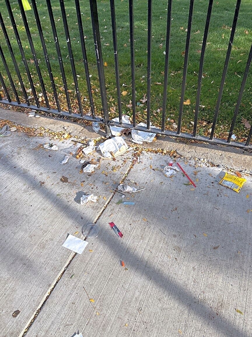 Image submitted with report