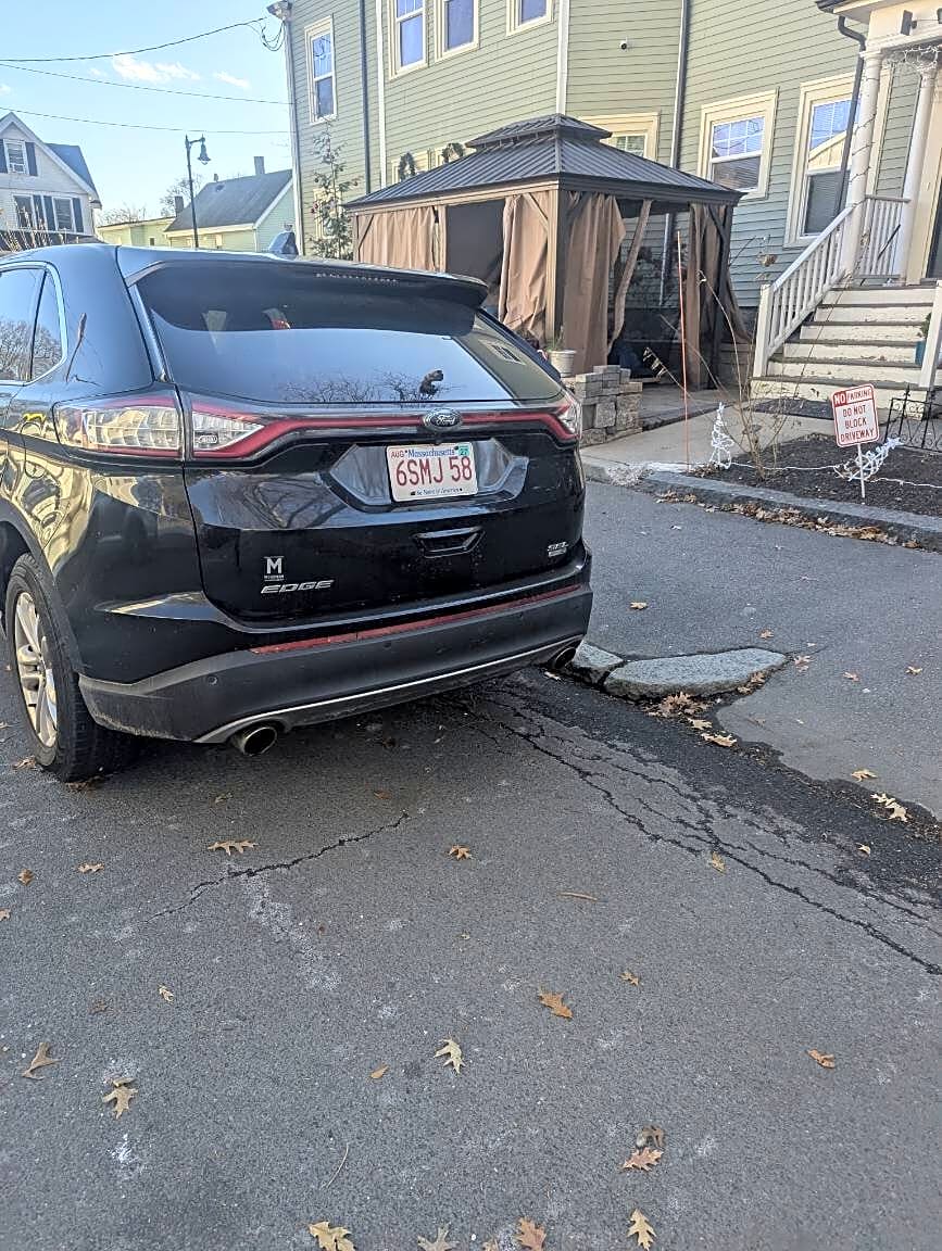 Image submitted with report