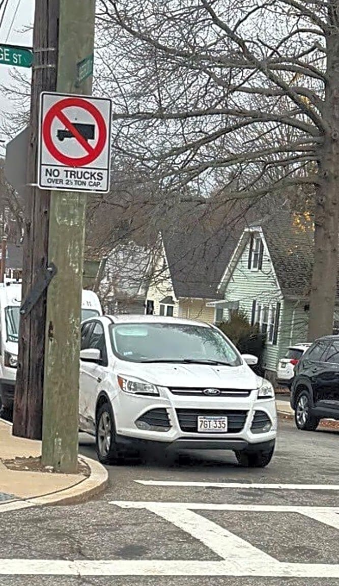 Image submitted with report