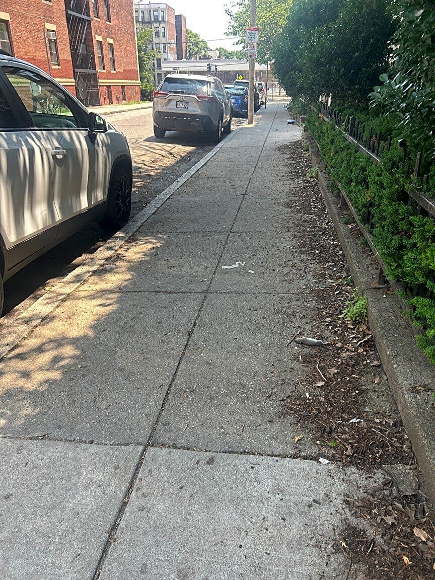Image submitted with report