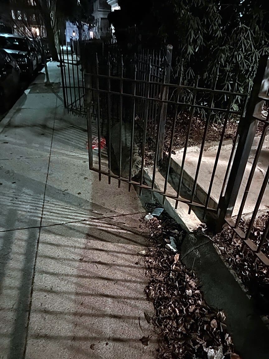 Image submitted with report