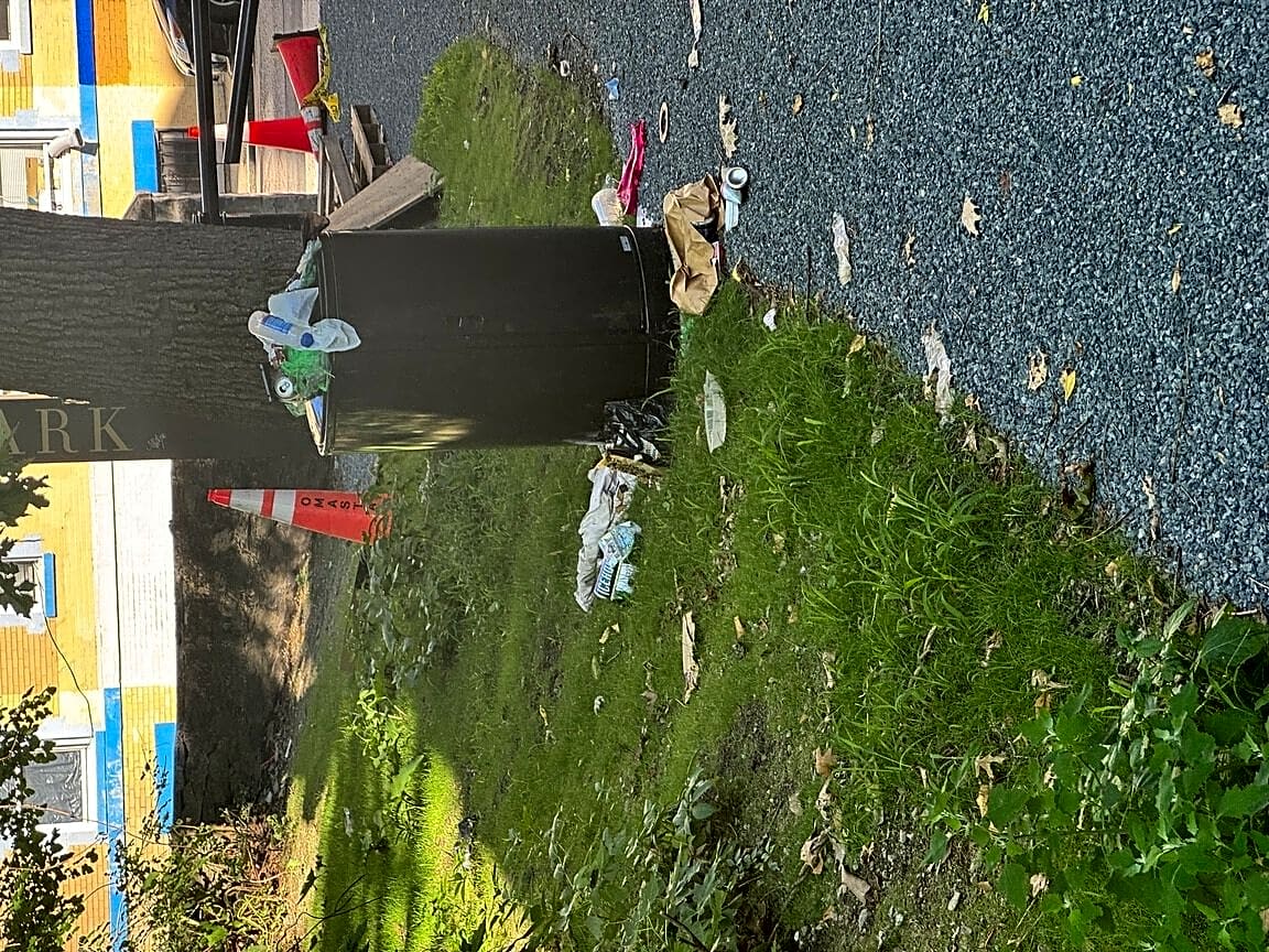 Image submitted with report