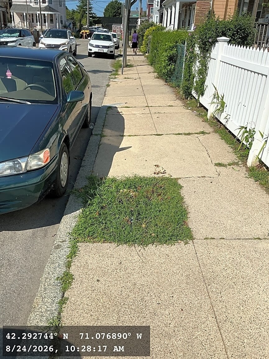 Image submitted with report