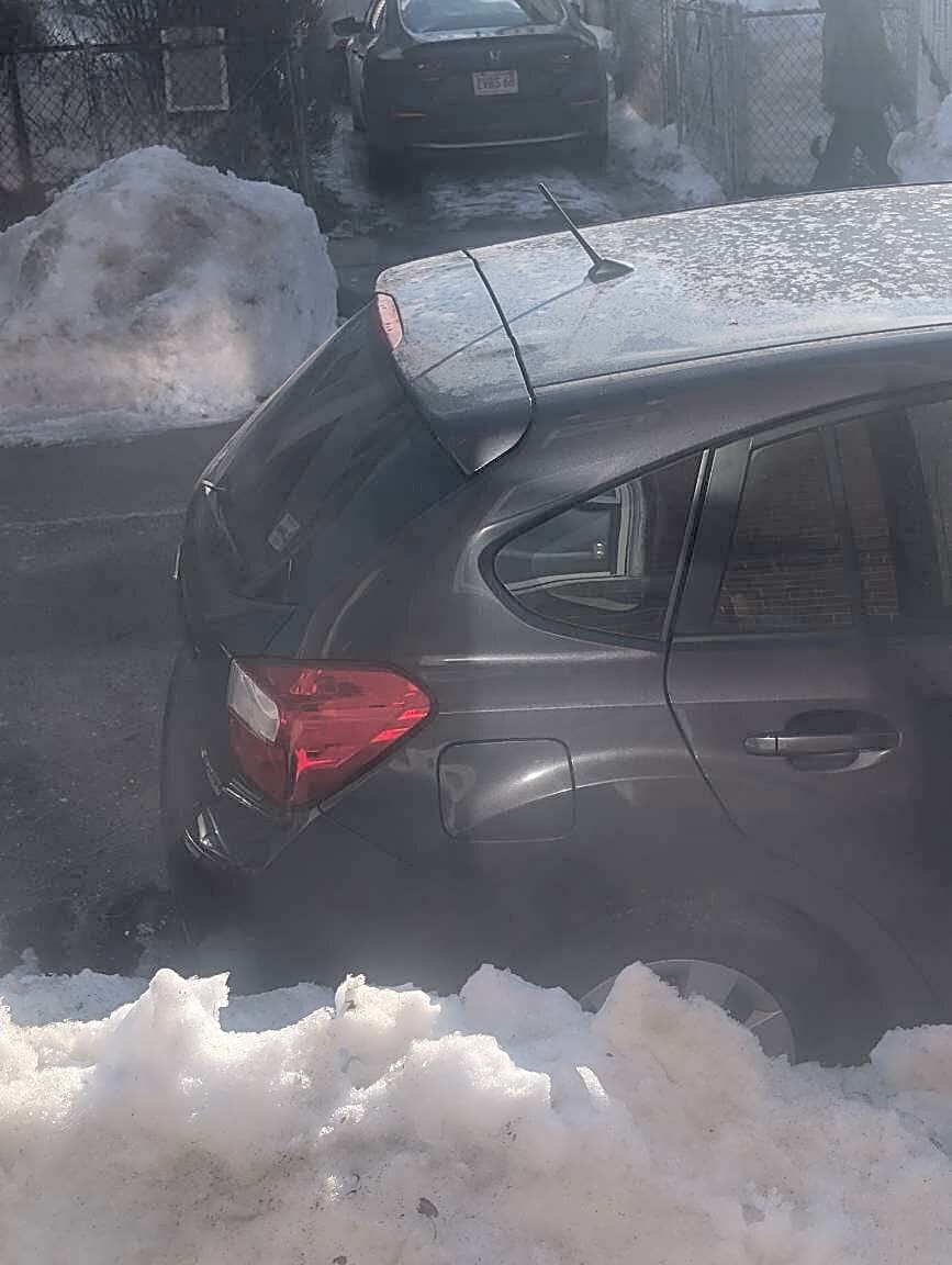 Image submitted with report