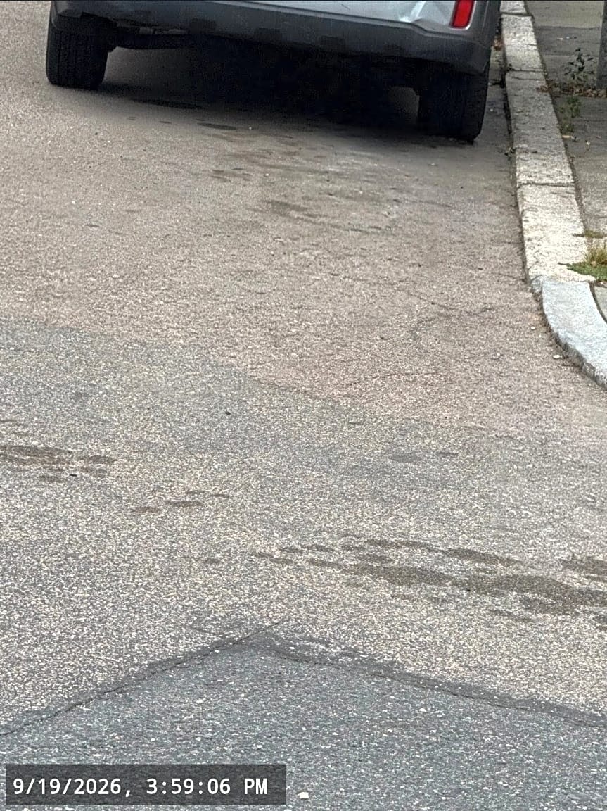 Image submitted with report