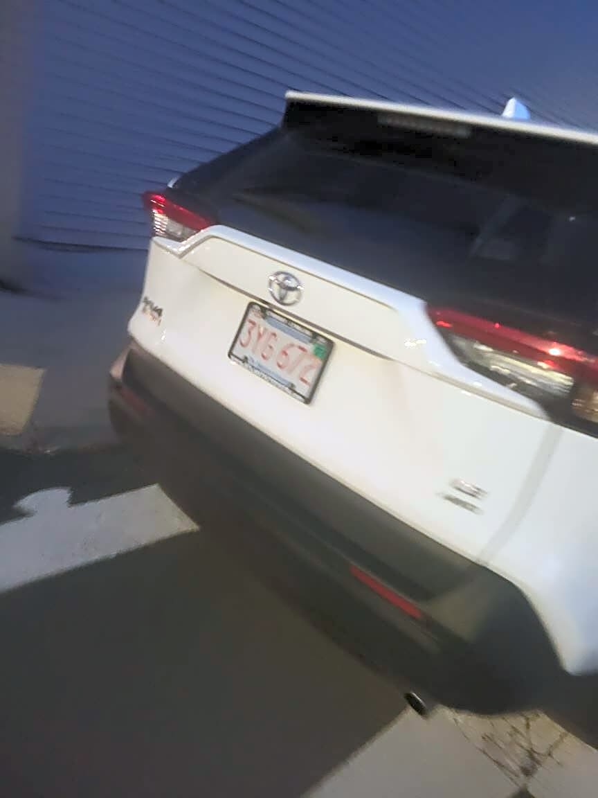 Image submitted with report