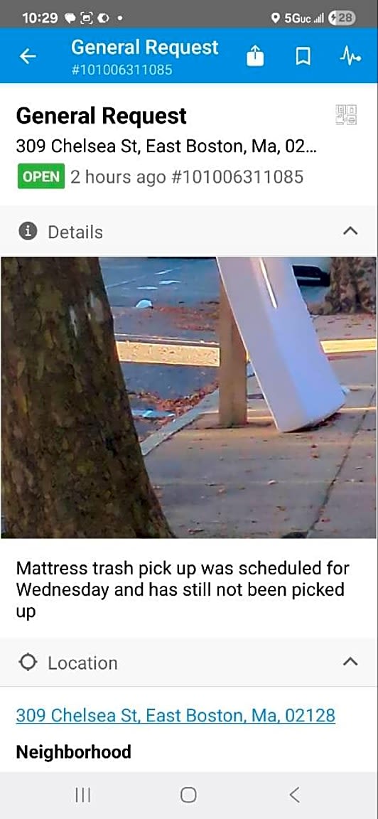 Image submitted with report