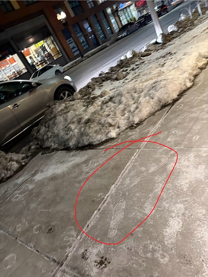 Image submitted with report