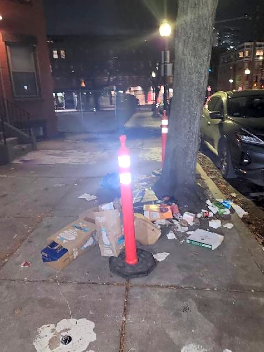 Image submitted with report