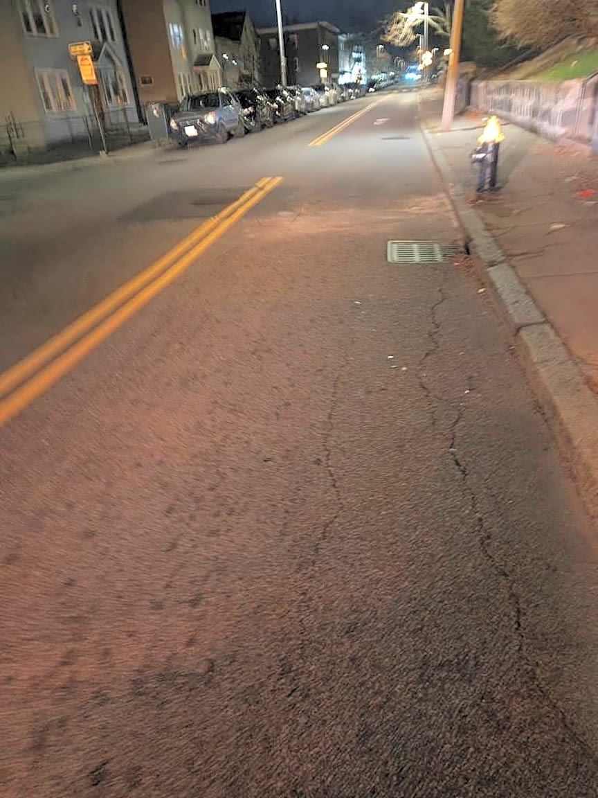 Image submitted with report