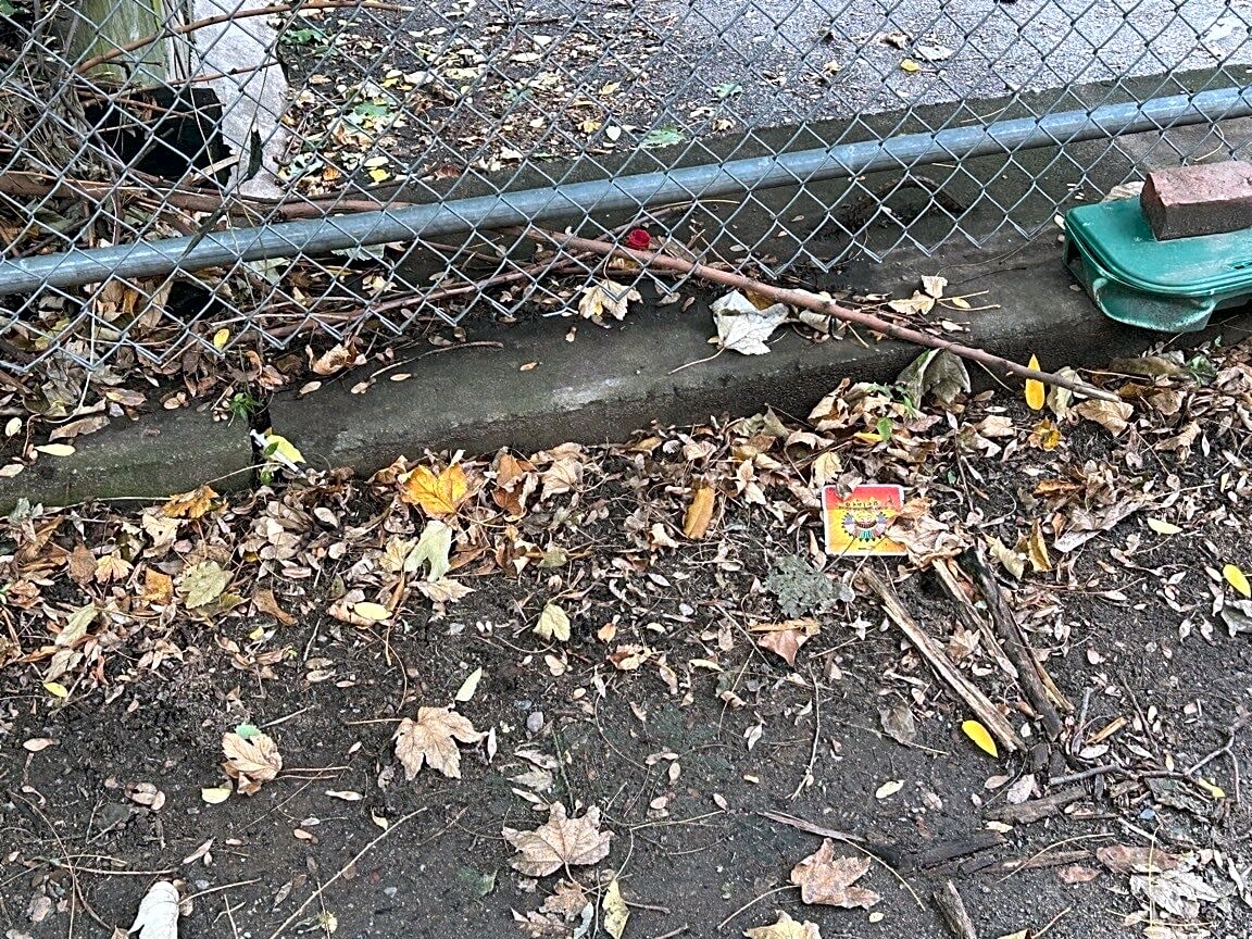 Image submitted with report