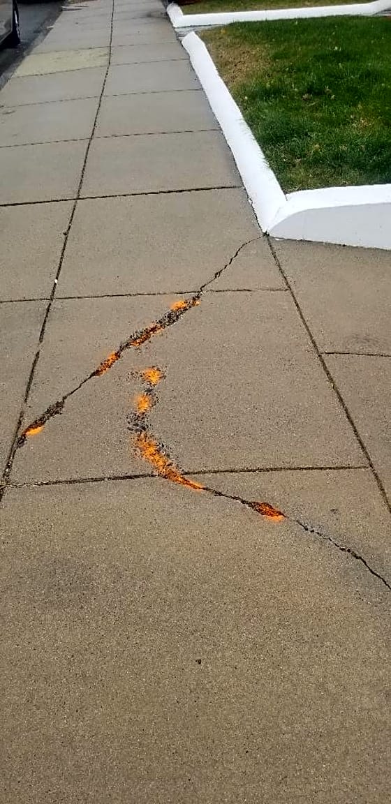 Image submitted with report