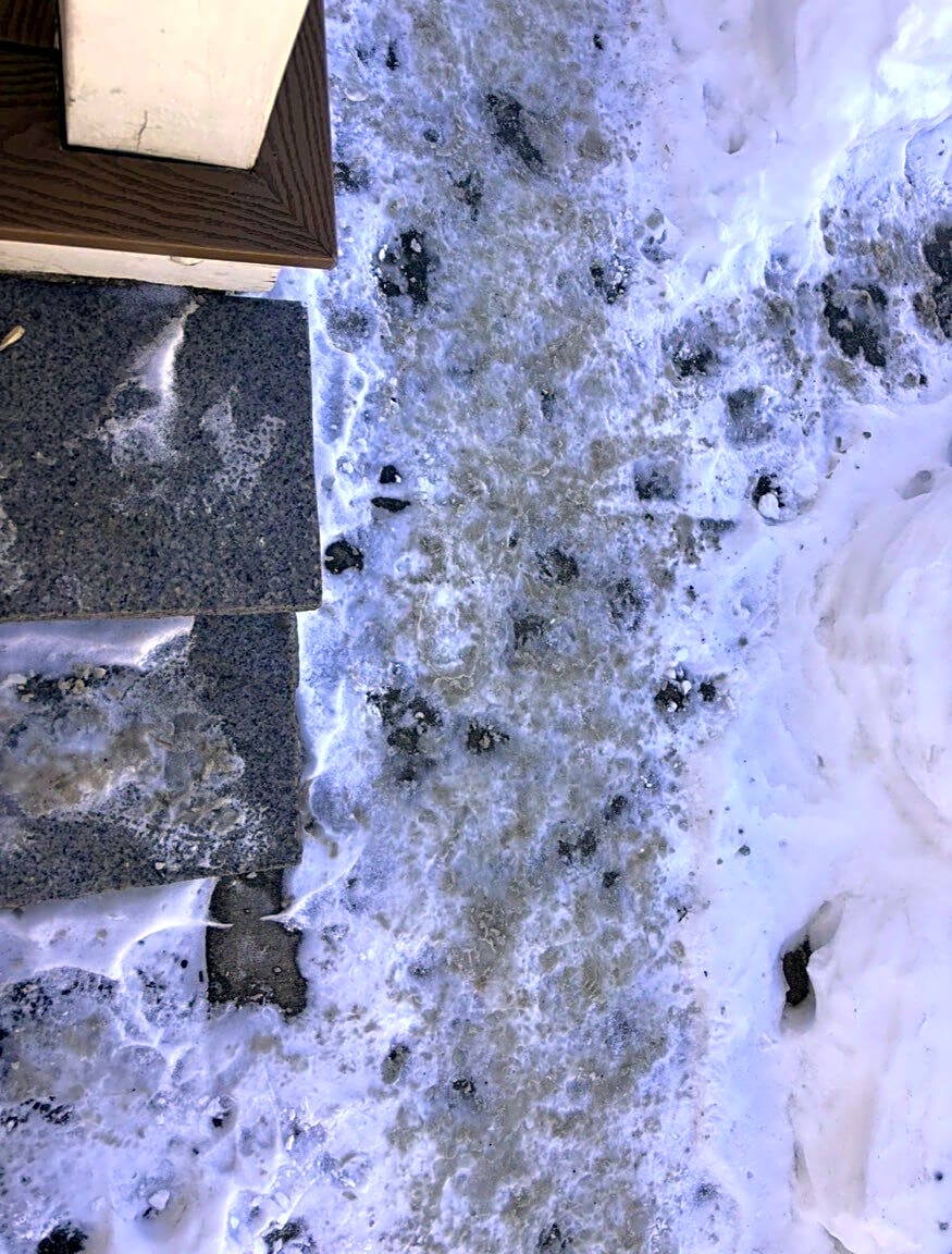 Image submitted with report