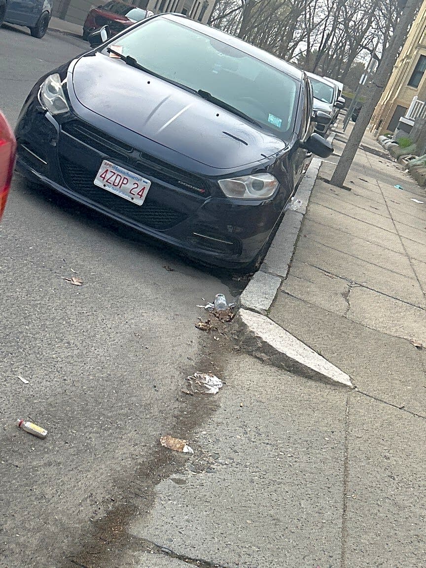 Image submitted with report