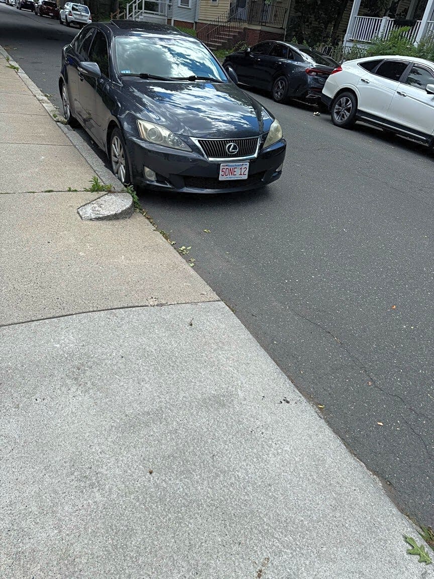 Image submitted with report