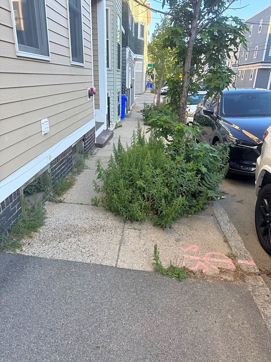 Image submitted with report