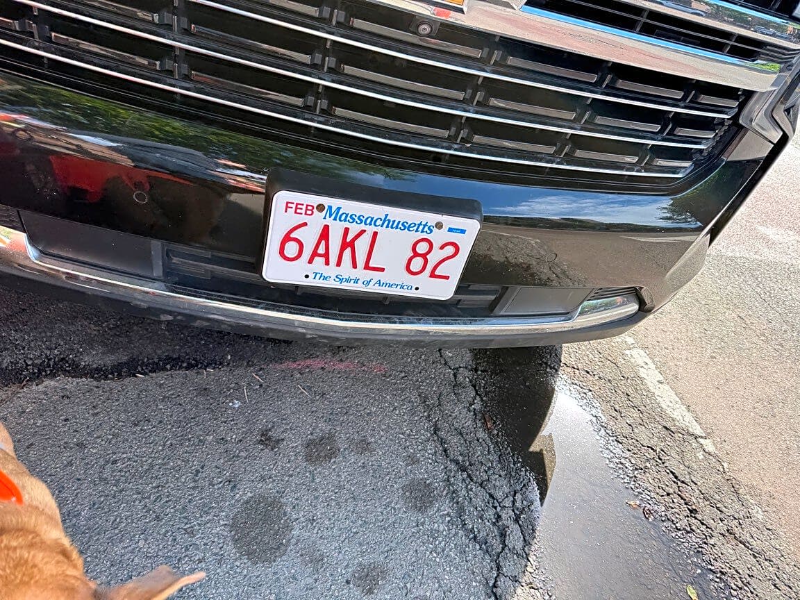 Image submitted with report