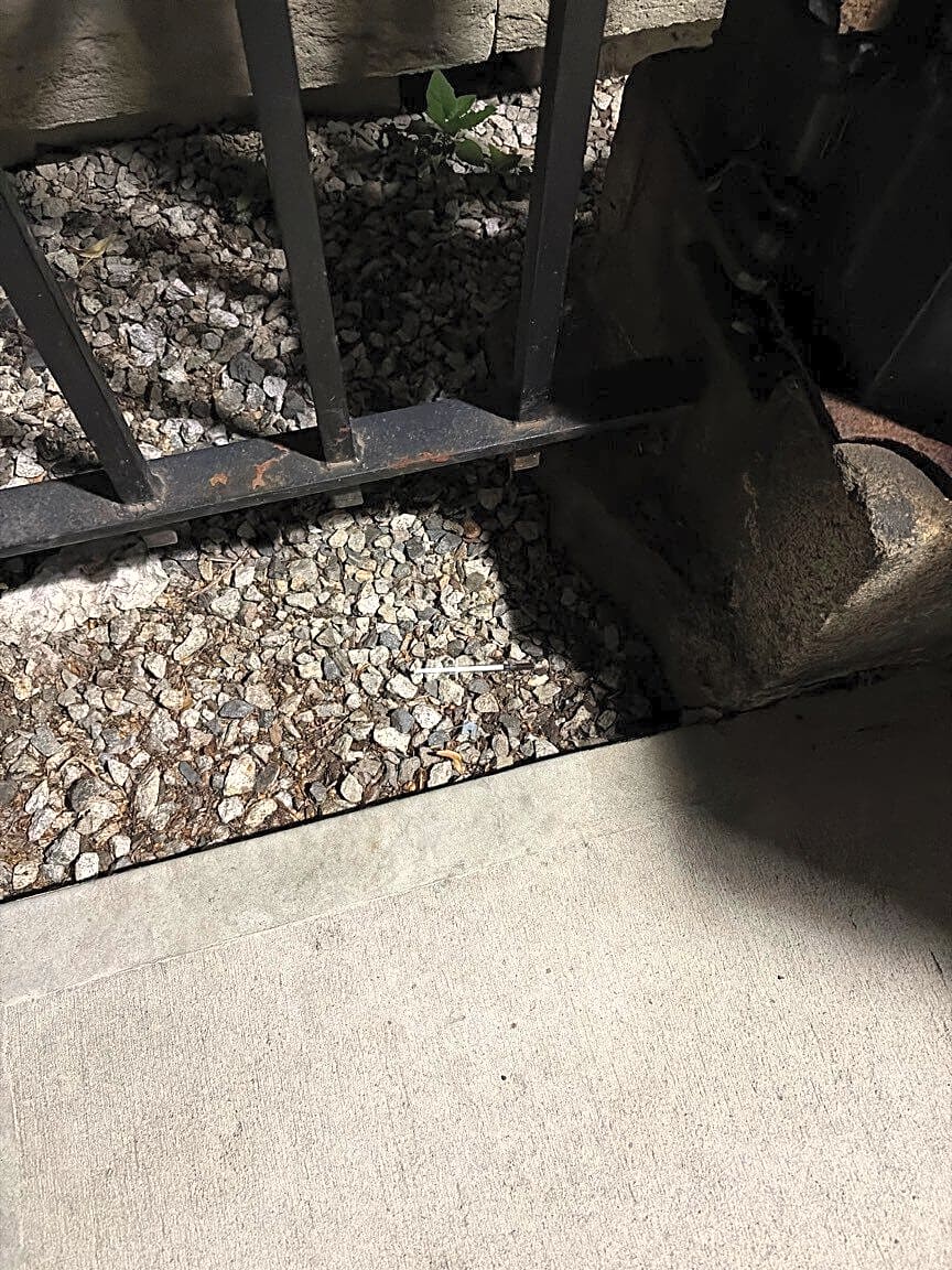 Image submitted with report