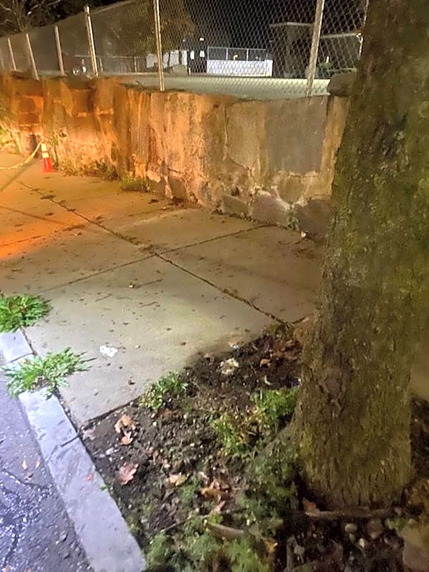 Image submitted with report