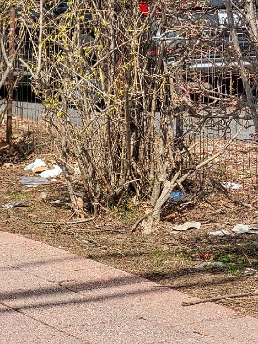 Image submitted with report