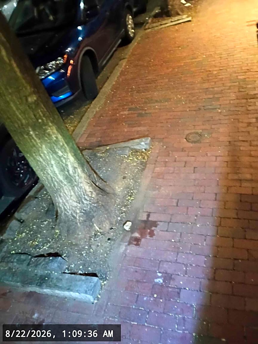 Image submitted with report
