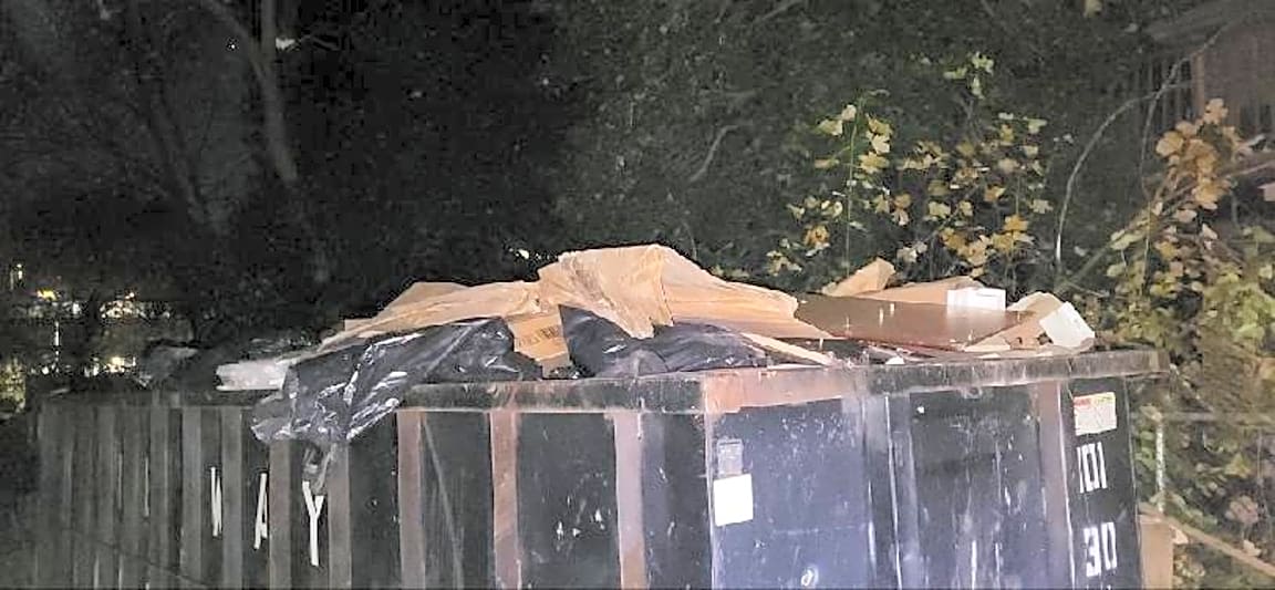 Image submitted with report