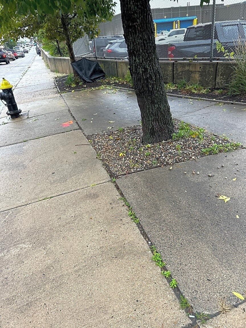 Image submitted with report