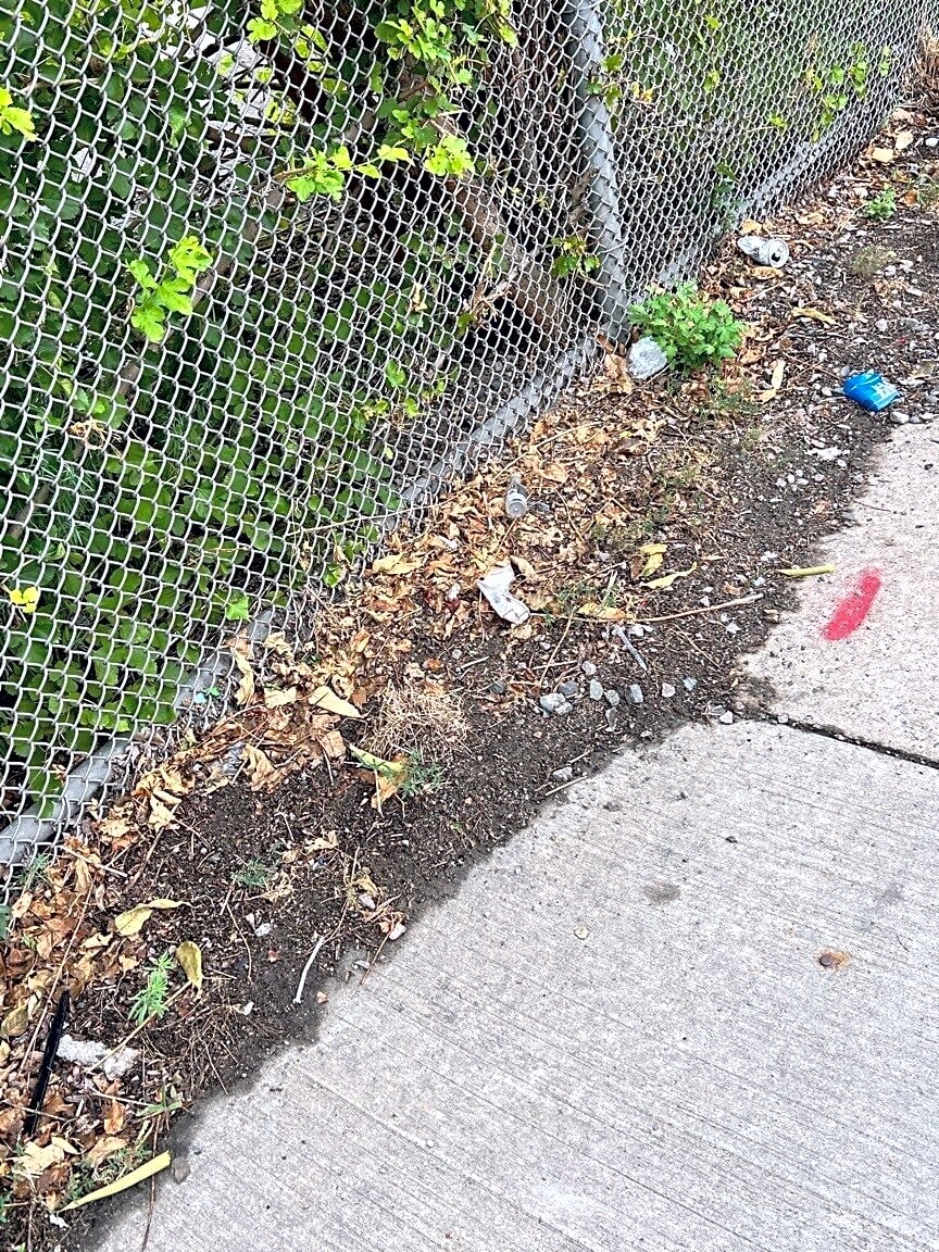 Image submitted with report