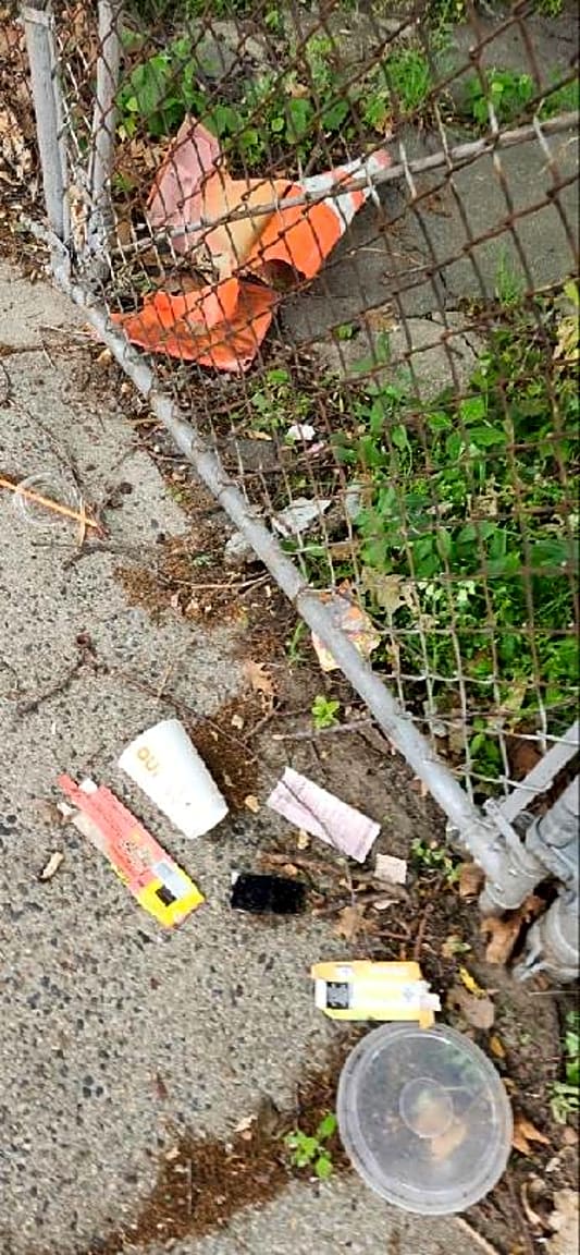 Image submitted with report