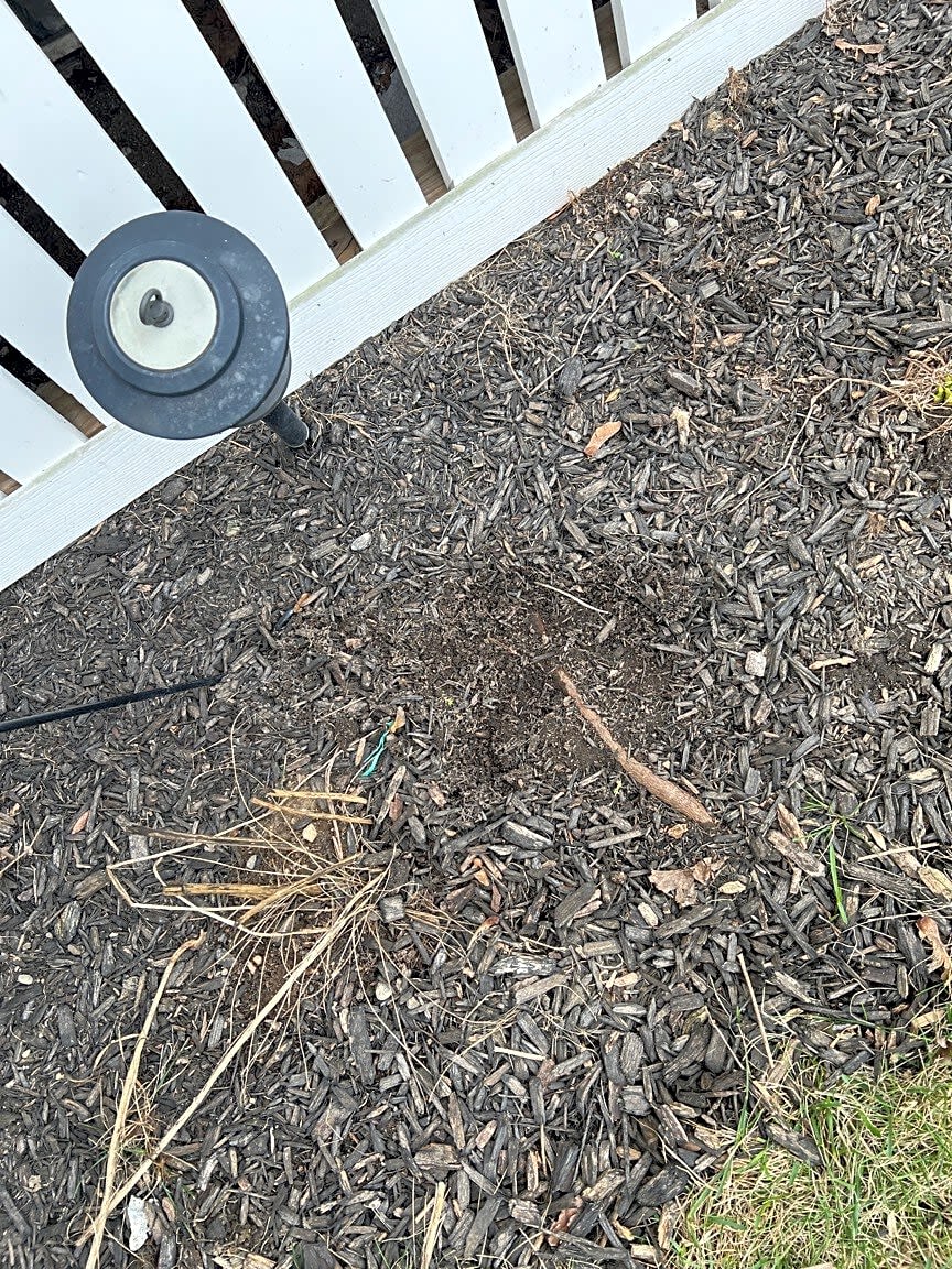 Image submitted with report