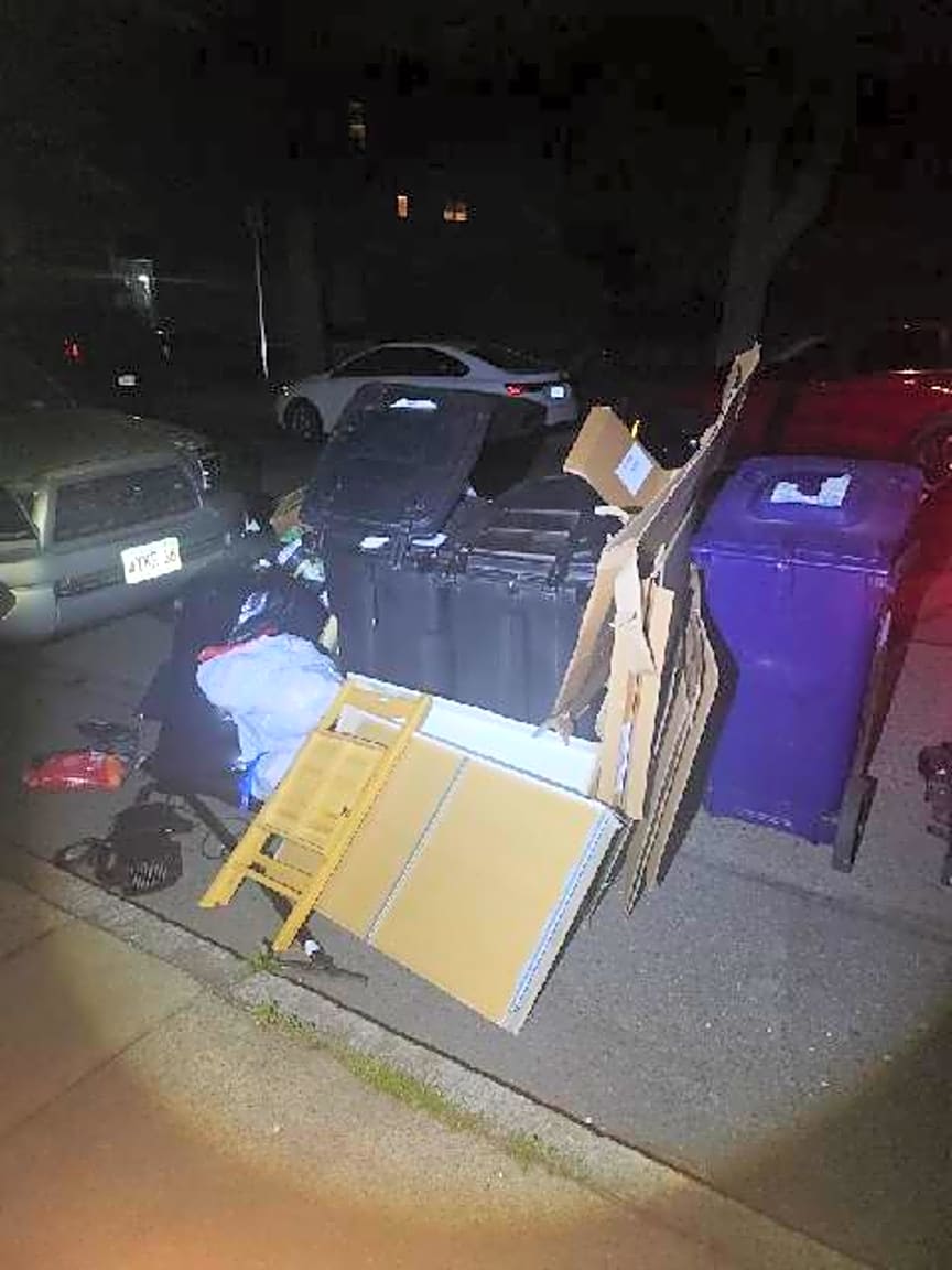 Image submitted with report