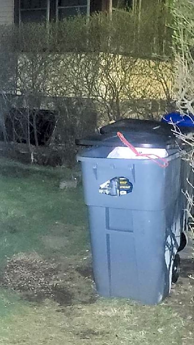 Image submitted with report