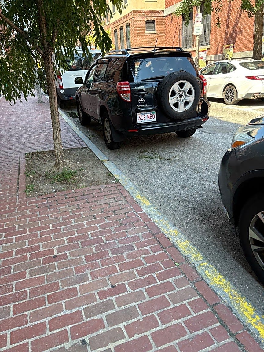 Image submitted with report
