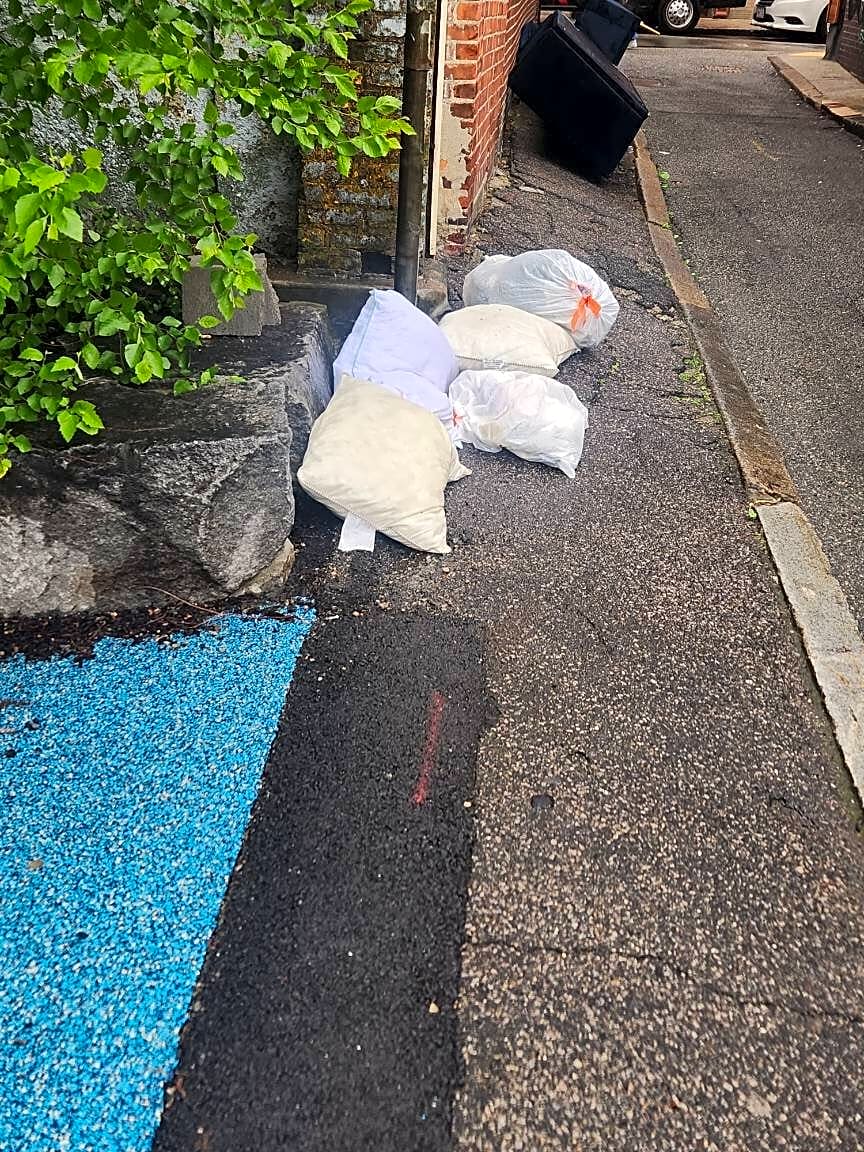 Image submitted with report