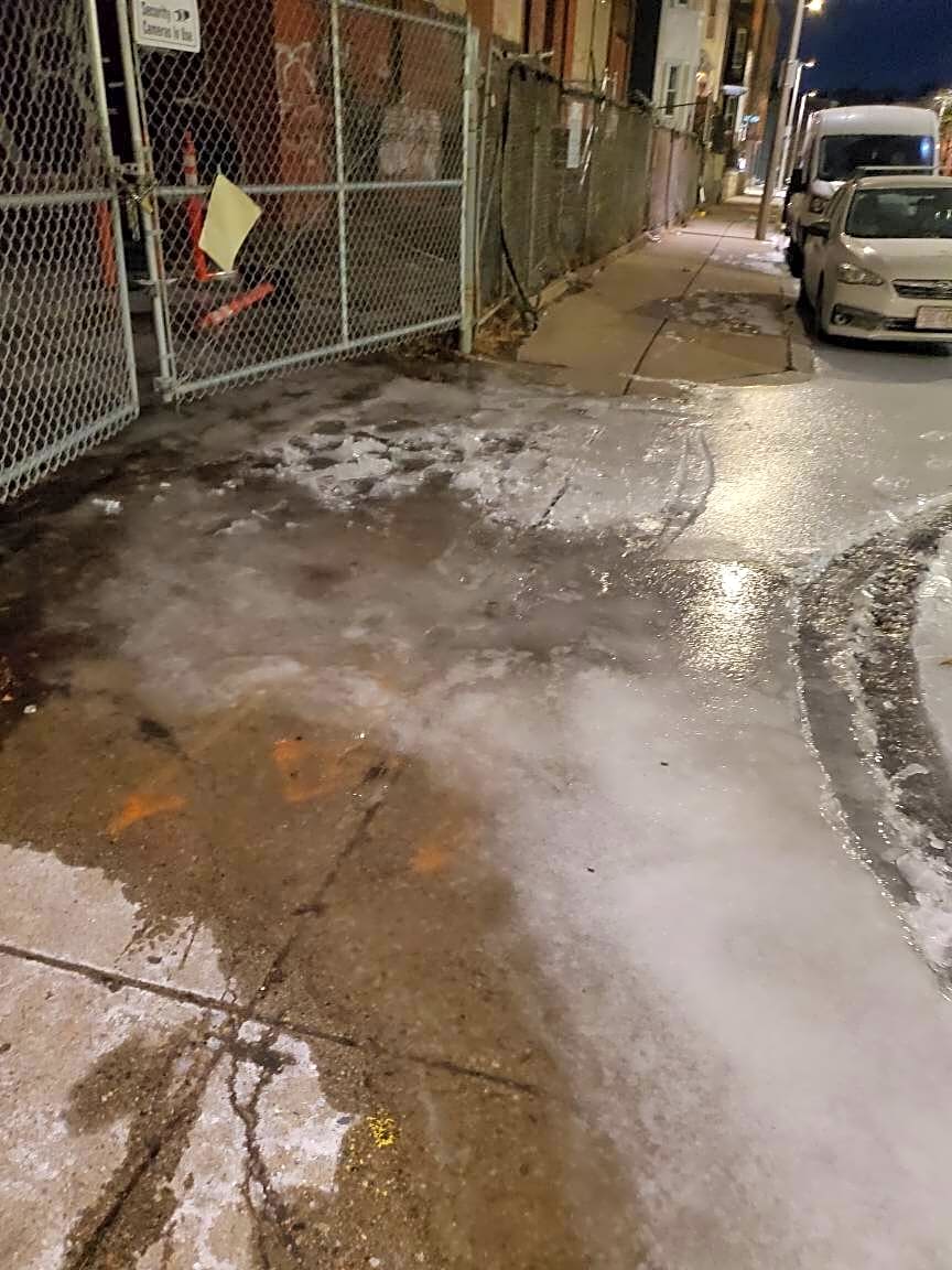 Image submitted with report