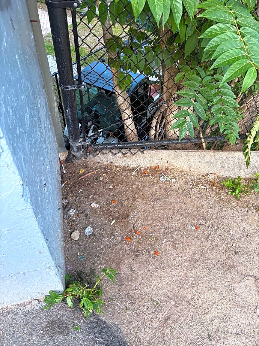 Image submitted with report