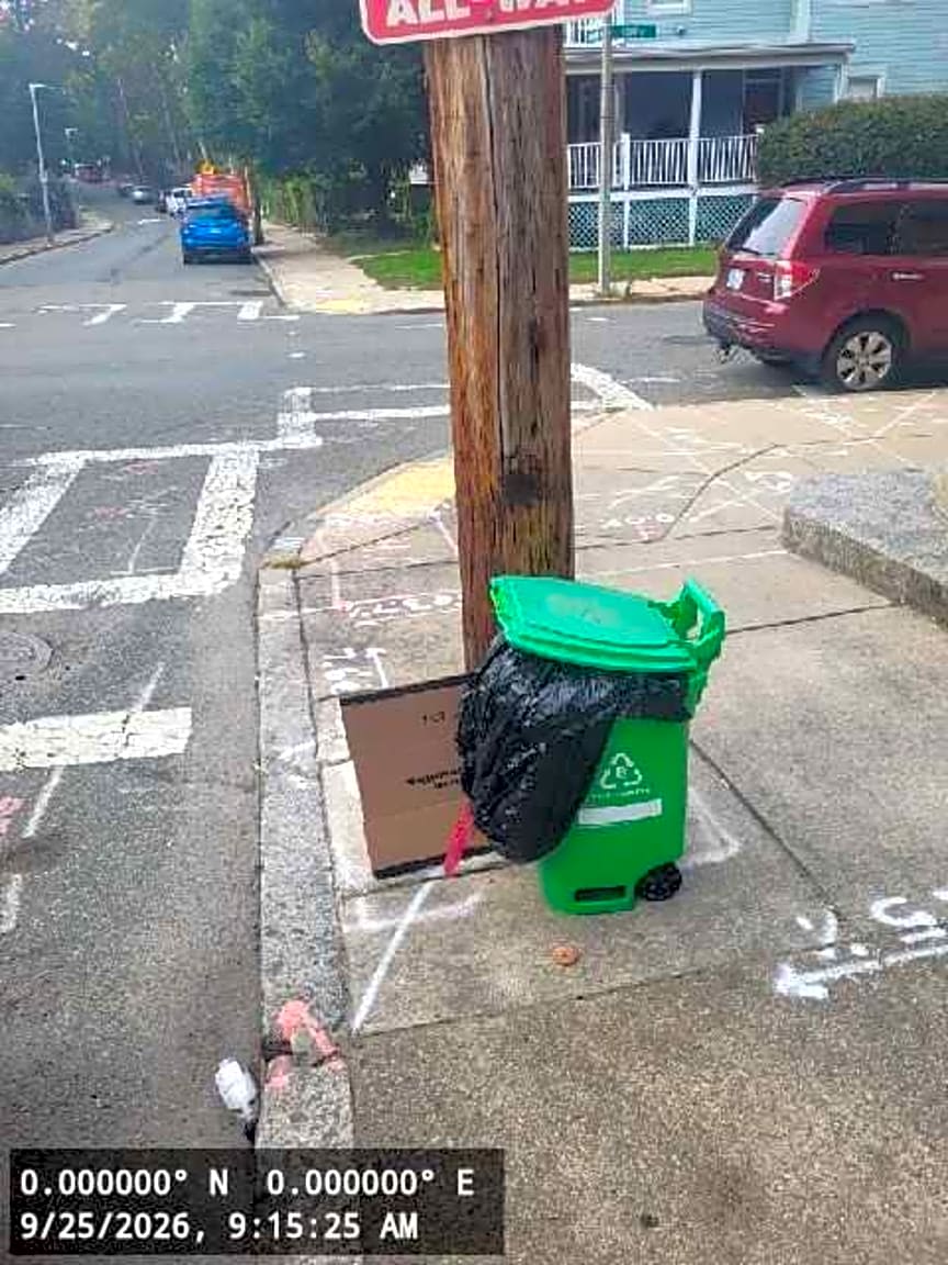 Image submitted with report