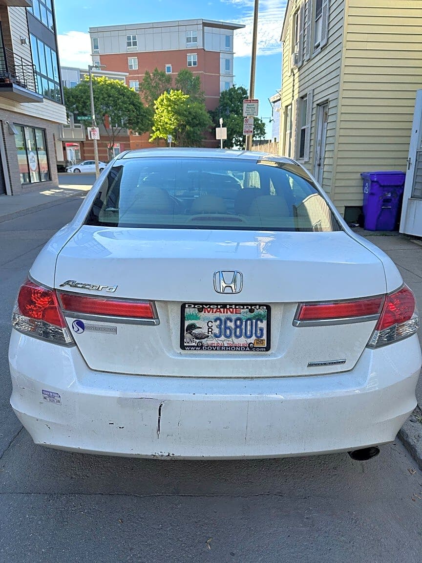 Image submitted with report