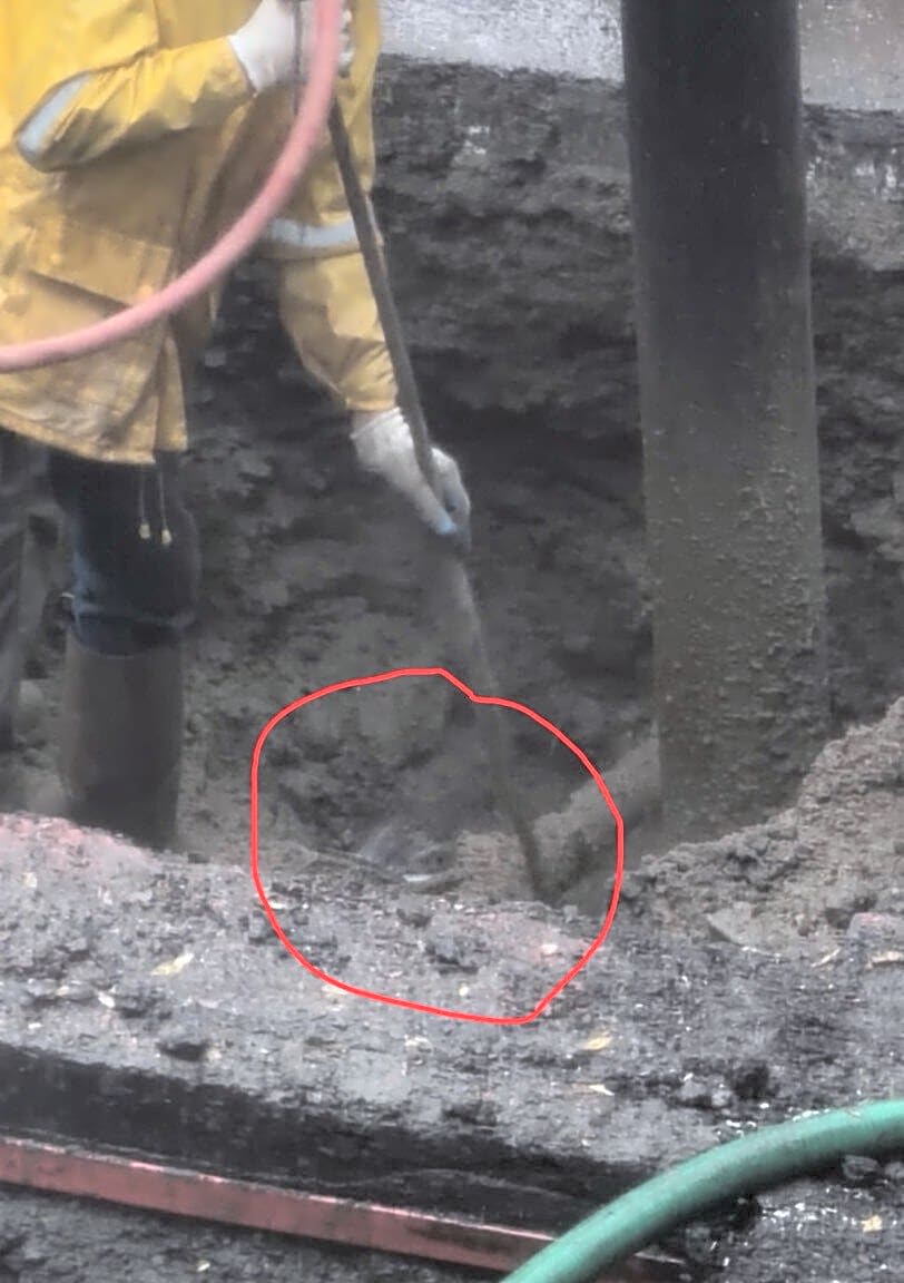 Image submitted with report