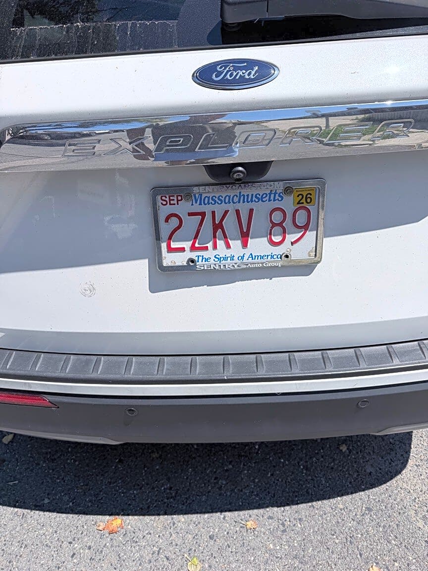 Image submitted with report